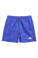 The North Face Kids' Never Stop Woven Shorts Solar Blue at Nordstrom,