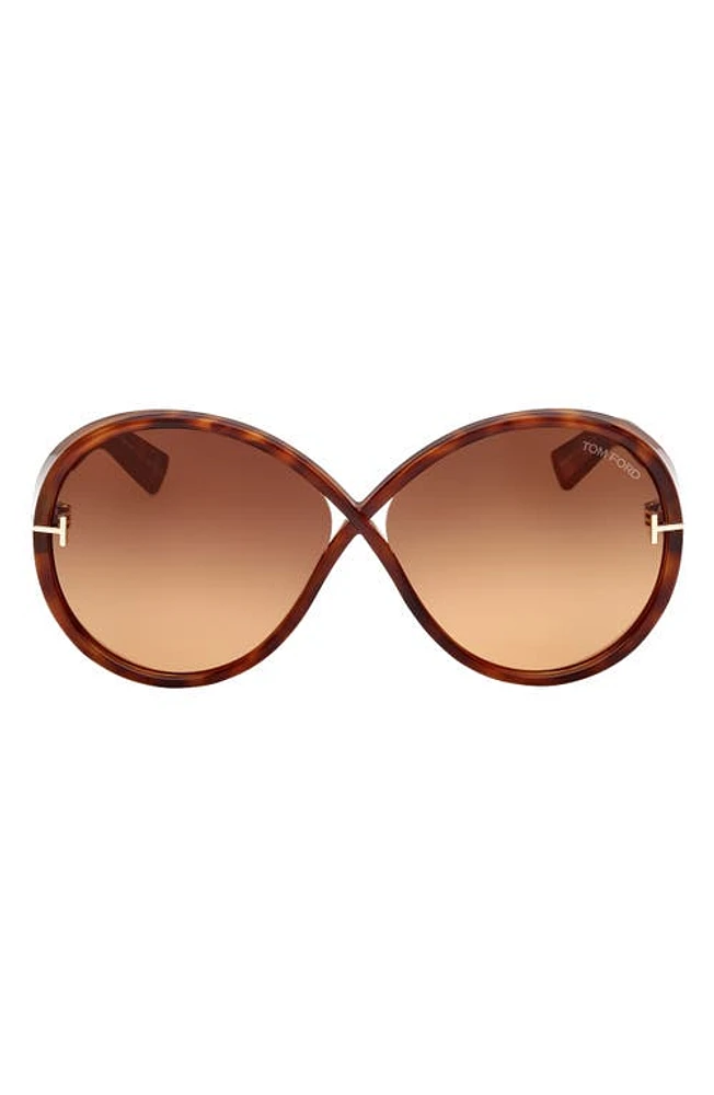 TOM FORD Edie 64mm Oversize Round Sunglasses in Shiny Havana /Brown Orange at Nordstrom