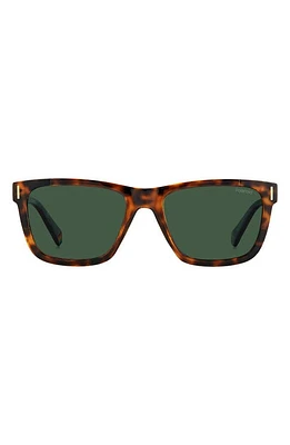 Polaroid 54mm Polarized Square Sunglasse in Havana/Green Polar at Nordstrom