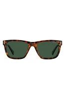 Polaroid 54mm Polarized Square Sunglasse in Havana/Green Polar at Nordstrom