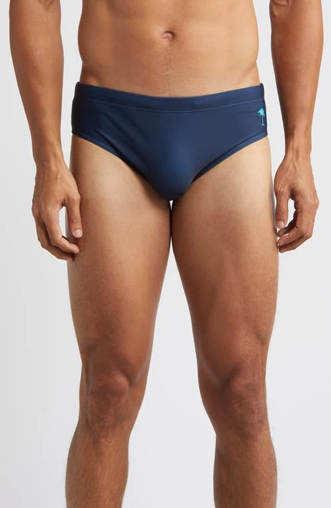 Boardies Swim Briefs in Navy at Nordstrom, Size Small