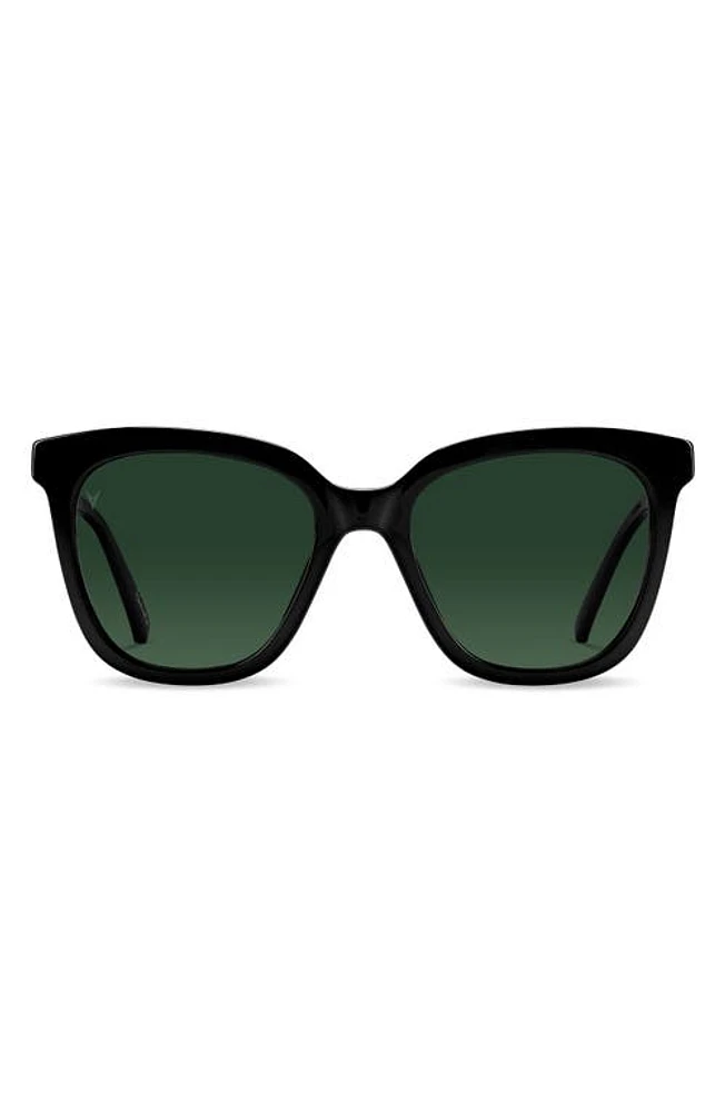 Vincero Ellison 54mm Polarized Round Sunglasses in Jet Black Green at Nordstrom