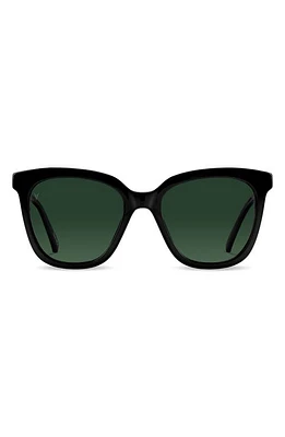 Vincero Ellison 54mm Polarized Round Sunglasses in Jet Black Green at Nordstrom