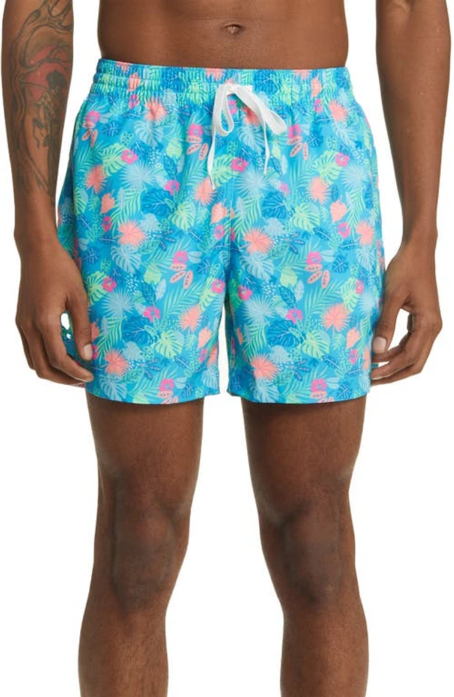 Chubbies The Apex Swimmers Swim Trunks in The Wild Tropics at Nordstrom, Size Xx-Large