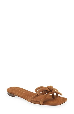 Loeffler Randall Hadley Bow Sandal Cacao at Nordstrom,