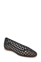 Paloma Barcelo Shell Ballet Flat Black at Nordstrom,