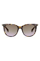 rag & bone 53mm Gradient Cat Eye Sunglasses in Brown/Violet Havana/Violet at Nordstrom