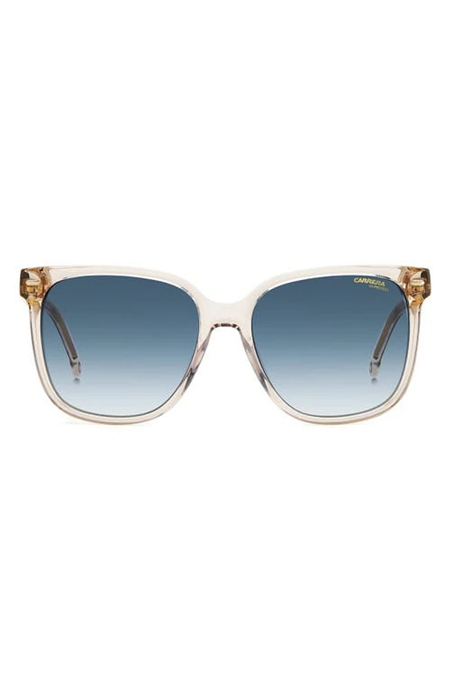 Carrera Eyewear 55mm Rectangular Sunglasses in Beige/Blue Shaded at Nordstrom