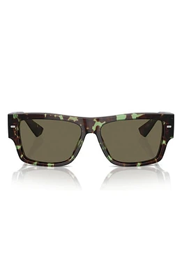 Dolce & Gabbana 55mm Rectangular Sunglasses in Brown at Nordstrom