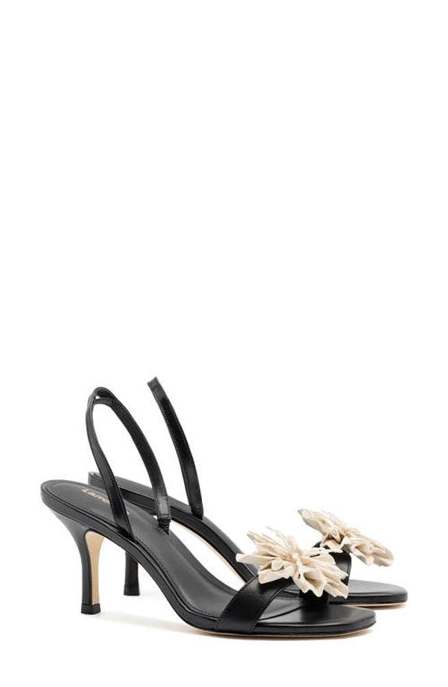 Larroudé Hibiscus Slingback Sandal Black at Nordstrom,