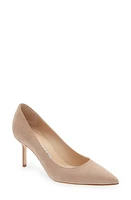 Manolo Blahnik BB Pointed Toe Pump Nude Suede at Nordstrom,