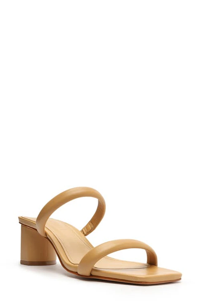 Schutz Ully Block Heel Sandal Light Nude at Nordstrom,