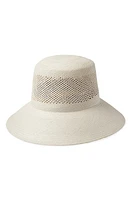 Brixton Lopez Straw Bucket Hat Panama White at Nordstrom,