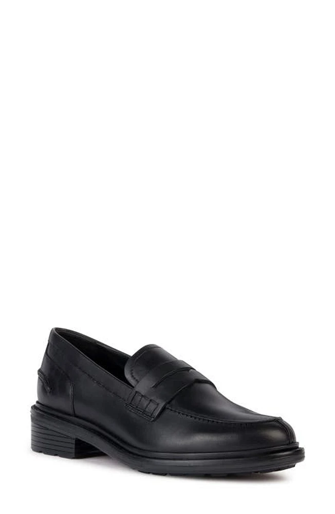 Geox Pleasure Walk Penny Loafer Black at Nordstrom,