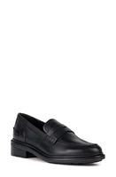 Geox Pleasure Walk Penny Loafer Black at Nordstrom,