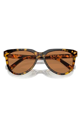 Miu Miu 56mm Phantos Sunglasses in Blond Havana at Nordstrom