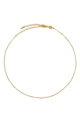 Missoma Satellite Chain Necklace in Gold at Nordstrom