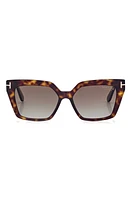 TOM FORD Winona 53mm Polarized Cat Eye Sunglasses in Dark Havana /Brown Polarized at Nordstrom