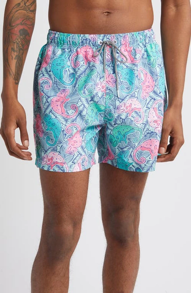 Boardies Reptilia Mid Length Swim Trunks Green at Nordstrom,