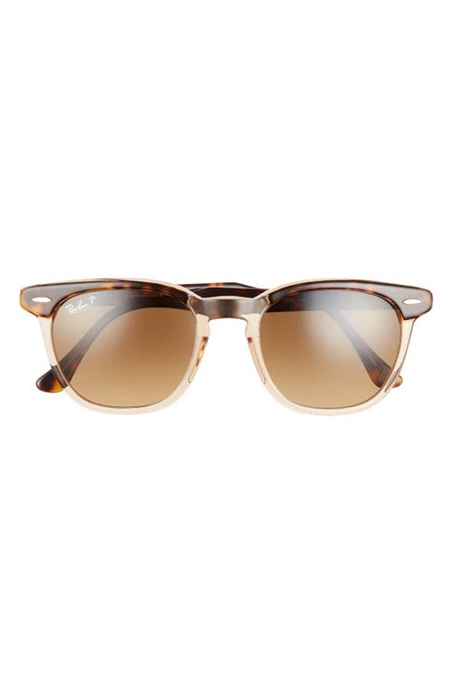 Ray-Ban 52mm Square Polarized Sunglasses in Havana /Brown Gradient at Nordstrom