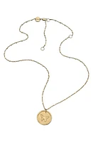 Jennifer Zeuner Amelia Butterfly Coin Pendant Necklace in Yellow Gold at Nordstrom