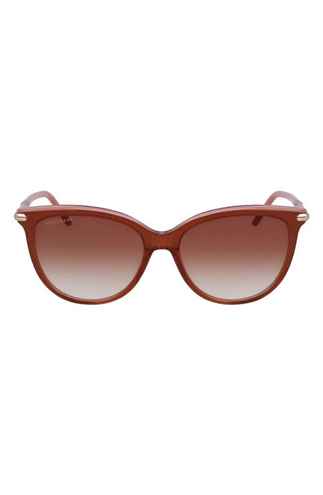 Longchamp Tea Cup 54mm Sunglasses in Brown/Rose at Nordstrom