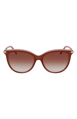 Longchamp Tea Cup 54mm Sunglasses in Brown/Rose at Nordstrom