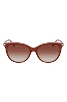 Longchamp Tea Cup 54mm Sunglasses in Brown/Rose at Nordstrom