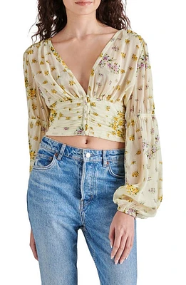 Steve Madden Leilani Floral Plunge Neck Crop Top Ivory Multi at Nordstrom,