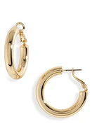 Nordstrom Tube Hoop Earrings in Gold at Nordstrom