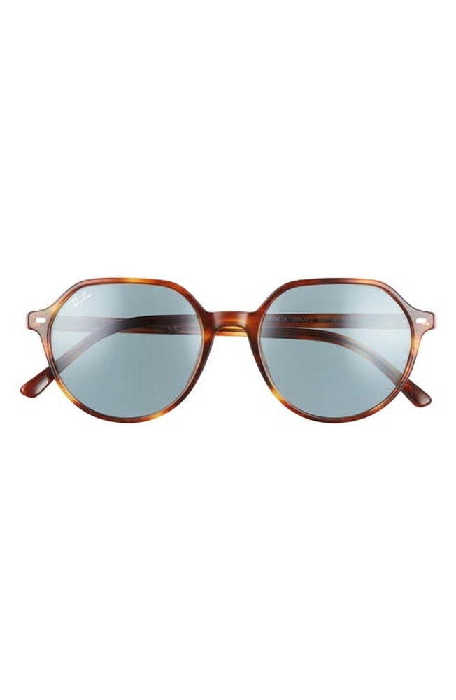 Ray-Ban Thalia 53mm Geometric Sunglasses in Striped Havana /Blue at Nordstrom