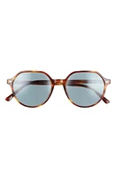 Ray-Ban Thalia 53mm Geometric Sunglasses in Striped Havana /Blue at Nordstrom