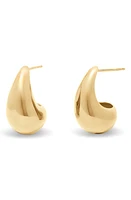 Brook and York Farrah Teardrop Hoop Earrings in Gold at Nordstrom