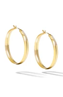 Cast The Major Defiant Hoop Earrings in Gold at Nordstrom