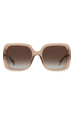 Polaroid 54mm Polarized Square Sunglasses in Beige /Brown Grad Polar at Nordstrom