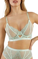 Playful Promises Fenella Aqua Lace & Mesh Longline Underwire Bra at Nordstrom,