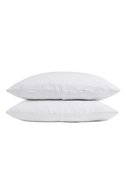 Parachute Cloud Cotton Sham Set in White at Nordstrom, Size Standard