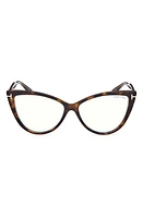 TOM FORD 56mm Blue Light Blocking Glasses in Dark Havana at Nordstrom