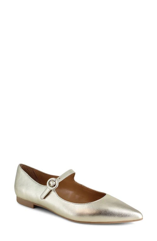 Splendid Mariana Pointed Toe Mary Jane Flat Platino at Nordstrom,