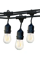 Brightech Ambience Pro LED 1W String Lights in Black at Nordstrom, Size Large