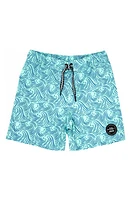 Feather 4 Arrow Kids' Peaks Board Shorts in Beach Glass at Nordstrom, Size 12