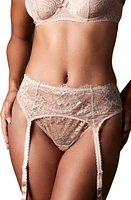 JOURNELLE Isabel Lace Suspender Belt at Nordstrom,