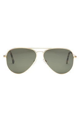 Electric AV1 XL 51mm Polarized Aviator Sunglasses in Shiny Gold/Grey Polar at Nordstrom