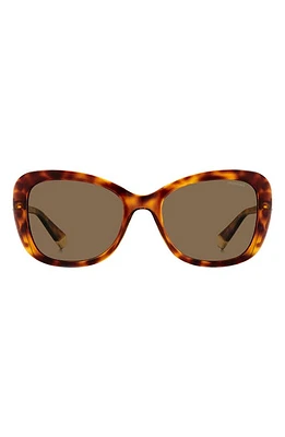 Polaroid 53mm Polarized Cat Eye Sunglasses in Havana/Bronze Polar at Nordstrom