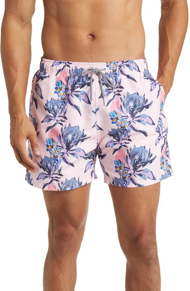 Boardies Banksia Swim Trunks Pink at Nordstrom,