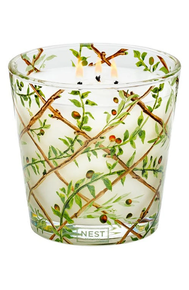 NEST New York Santorini Olive & Citron Scented 3-Wick Candle at Nordstrom