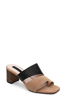 Sanctuary Brisk Slide Sandal Cafe/Black at Nordstrom,