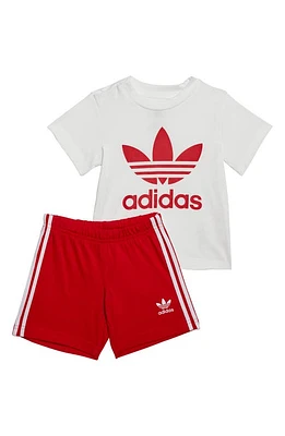 adidas Lifestyle Cotton T-Shirt & Shorts Set Better Scarlet at Nordstrom,