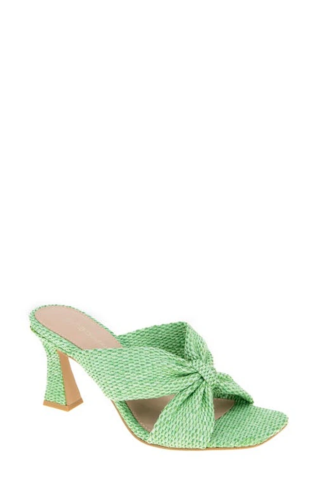 bcbg Rooba Slide Sandal Clover Raffia at Nordstrom,