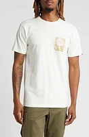 Vans Sun & Surf Graphic T-Shirt Marshmallow at Nordstrom,